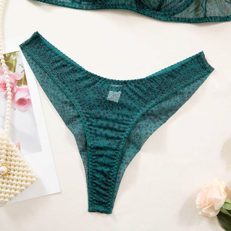 Комплект женского нижнего бель – обзор и цена Sheer Mesh Bra